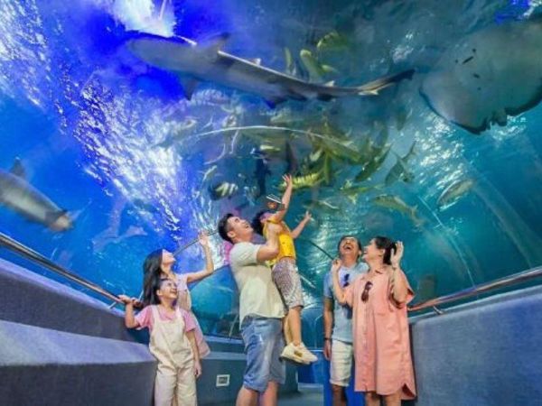 Explore the National Oceanographic museum